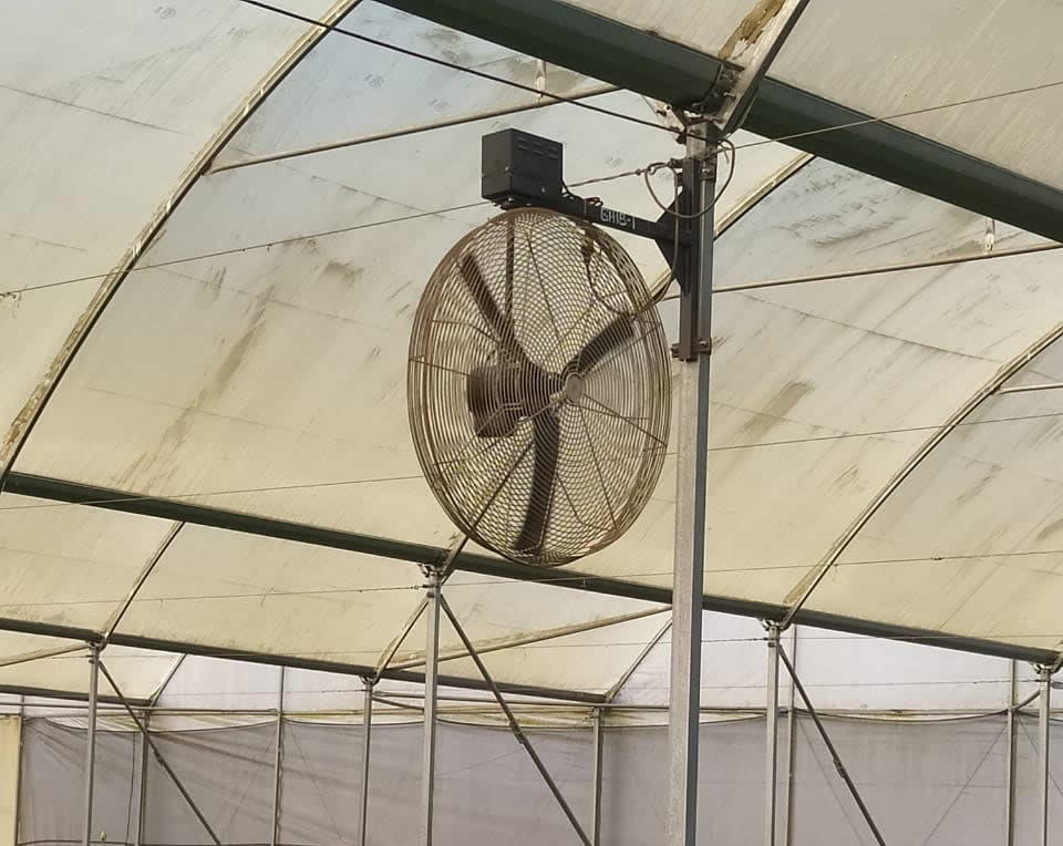 Agricultural Green House Fans